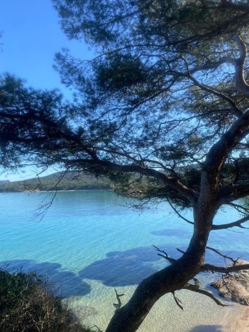 Ile De Porquerolles : T3 Climatise Vue Mer Kültér fotó
